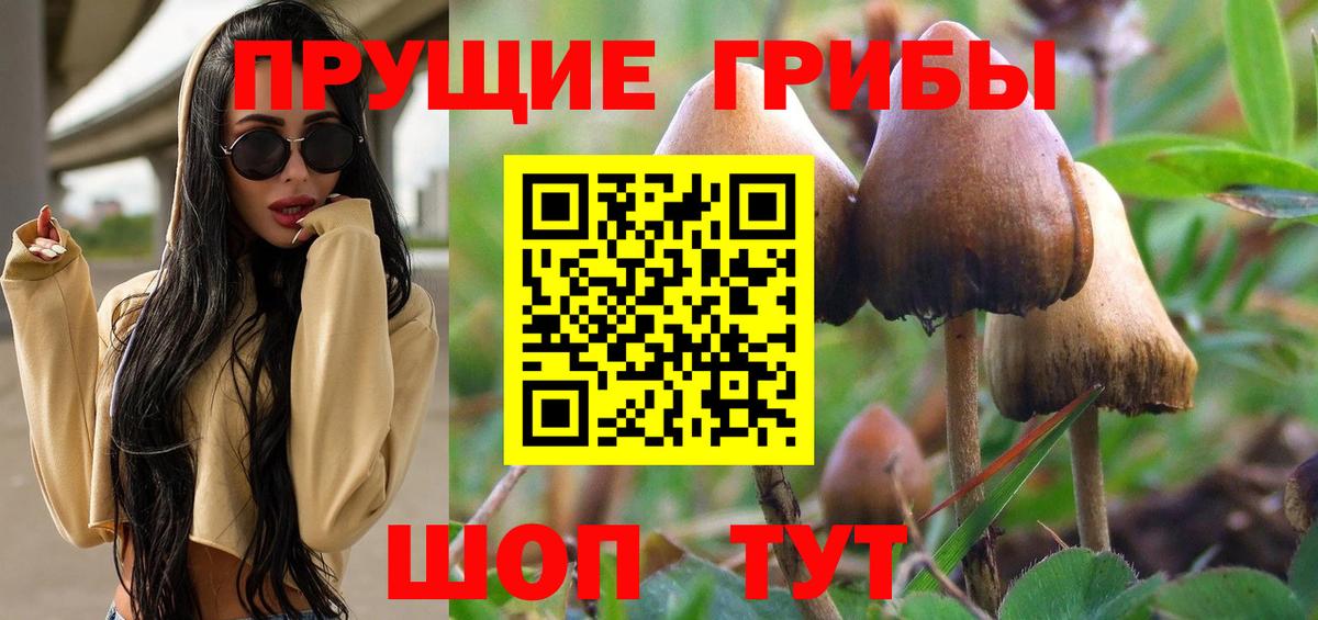 Галлюциногенные грибы GOLDEN TEACHER Ноябрьск