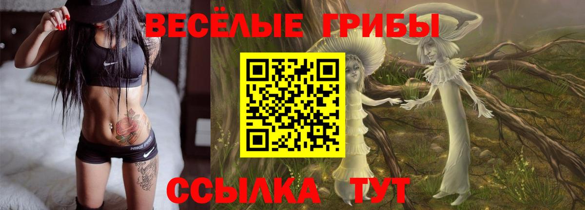 Ноябрьск  Псилоцибиновые грибы MAGIC MUSHROOMS  Вход с VPN 