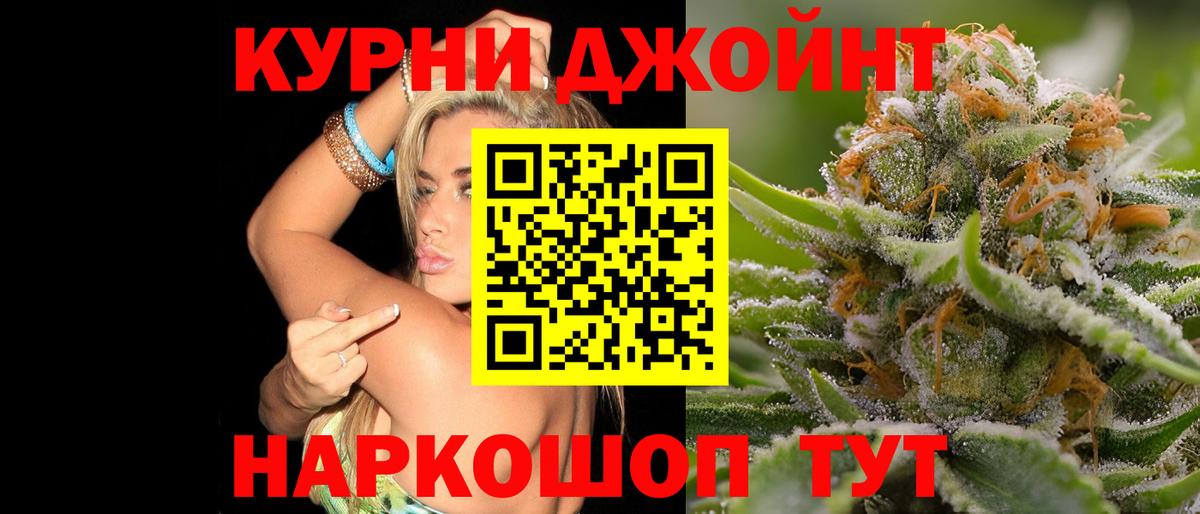 Каннабис семена Ноябрьск